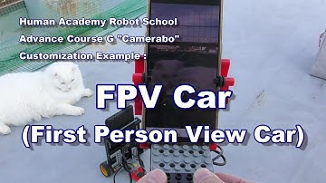 FPV Car (First Person View Car)