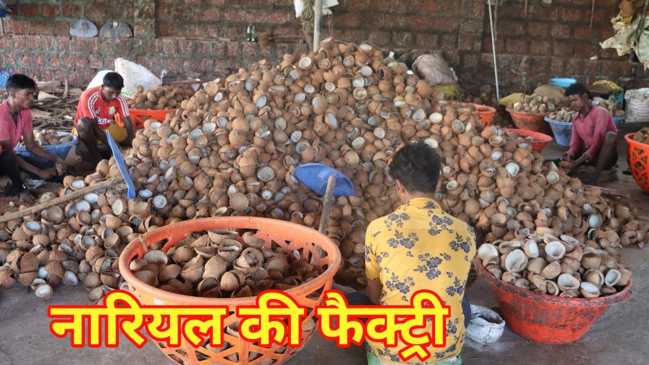 kerala coconut factory, copra dryer machine, नारियल की फैक्ट्री