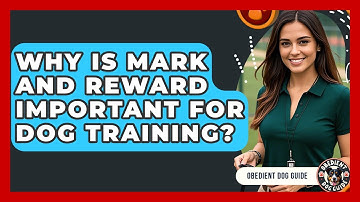 Why Is Mark And Reward Important For Dog Training? - Obedient Dog Guide