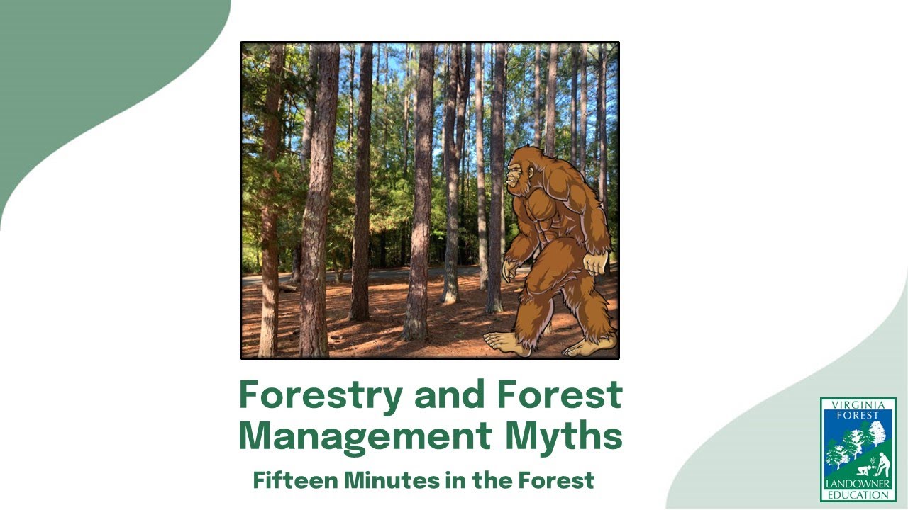 Fifteen Minutes in the Forest: Forestry and Forest Management