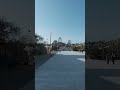 満開の桜見れるのもせいぜい数十回ですよなので花見サイクリングでんがな