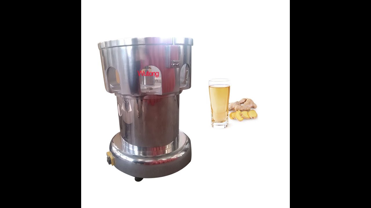 Juice Extraction Extractor Ginger Juicer Machine for Commercial fruit