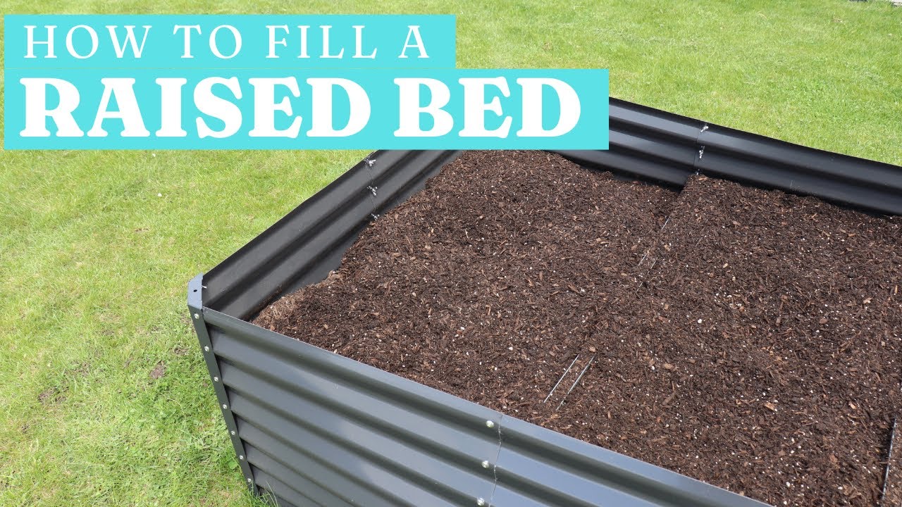 How to Fill a Raised Bed - YouTube