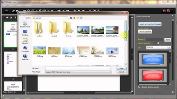 Insert Buttons on Flash Flip Book by FlipBook Creator Professional