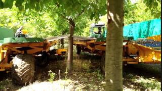 Machine De Récolte Prune Double - Non Stop Tractée Vrac - Cepparo Somaref - Continu