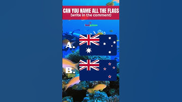 CAN YOU NAME ALL THE FLAGS PT 7 #quiz #challenge #flag #shorts