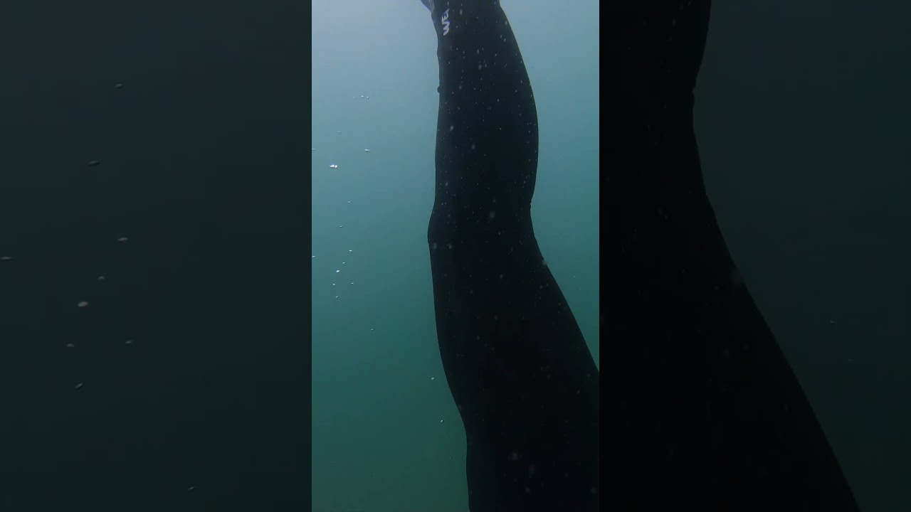 Checking out a new dive site 