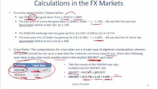 2017 Level I CFA Economics: Currency Exchange Rates Summary