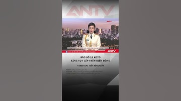 Bão số 15 Koto tăng vọt cấp trên Biển Đông, dự báo các tỉnh bị ảnh hưởng #antv #shorts #thoisu