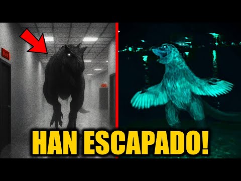 LOS DINOSAURIOS HAN ESCAPADO! 💀(JURASSIC PARK VHS)