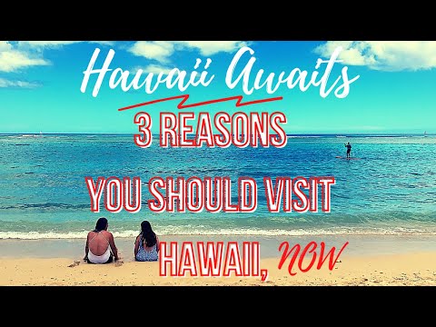 3 Reasons to visit Hawaii NOW | August 2020 after Reopen Hawaii | DEALS
