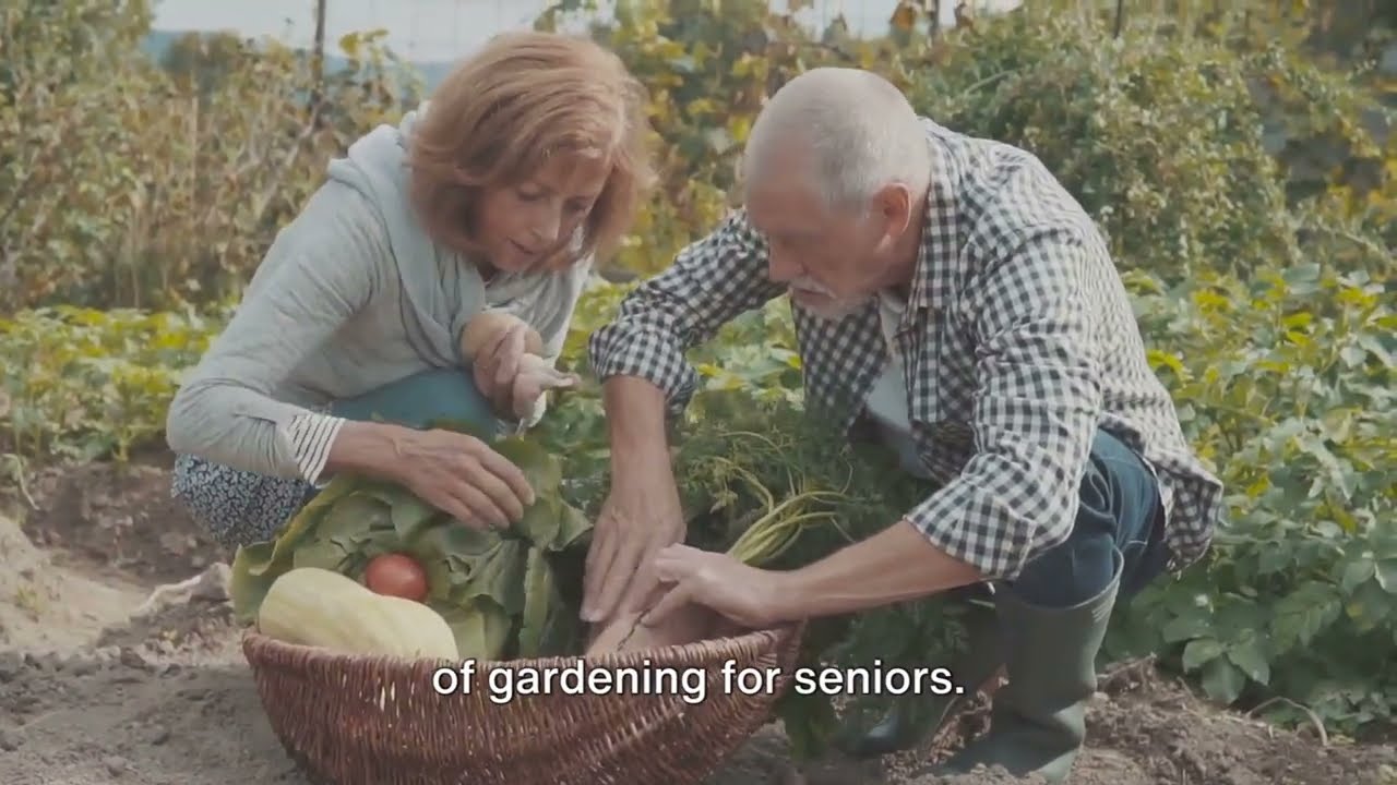 Gardening for Seniors: tips, flower arranging, and plant care for seniors 