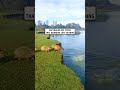 Capybaras wait their turn to dive 🥹 (🎥: ViralHog/Luciano Mochinski)