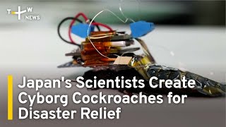 Japan's Scientists Create Cyborg Cockroaches for Disaster Relief | TaiwanPlus News