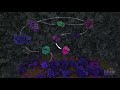 Glycolysis | HHMI BioInteractive Video