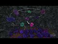 Understanding Glycolysis