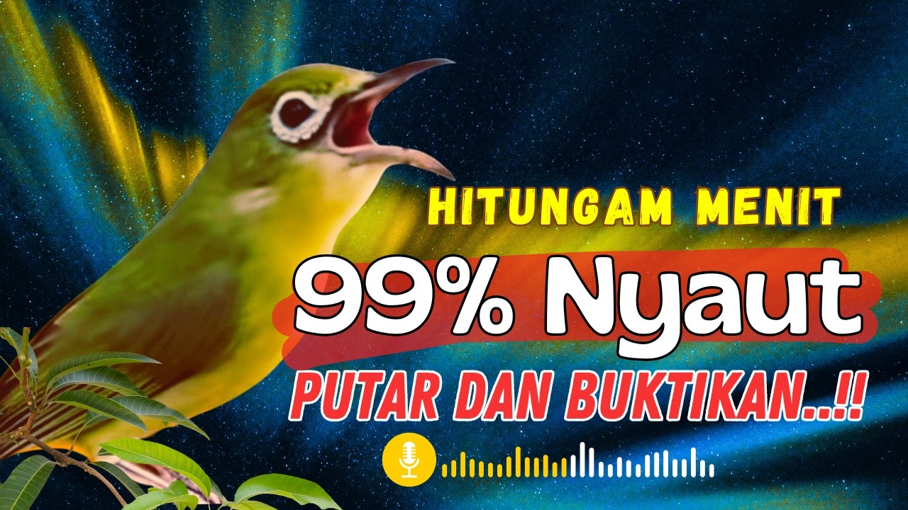 MASTERAN BURUNG PALING DI CARI !! Baru Diputar Langsung Bikin Lawan Emosi!