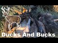 Two Hunts In ONE {DEER AND DUCKS} Catch Clean Cook