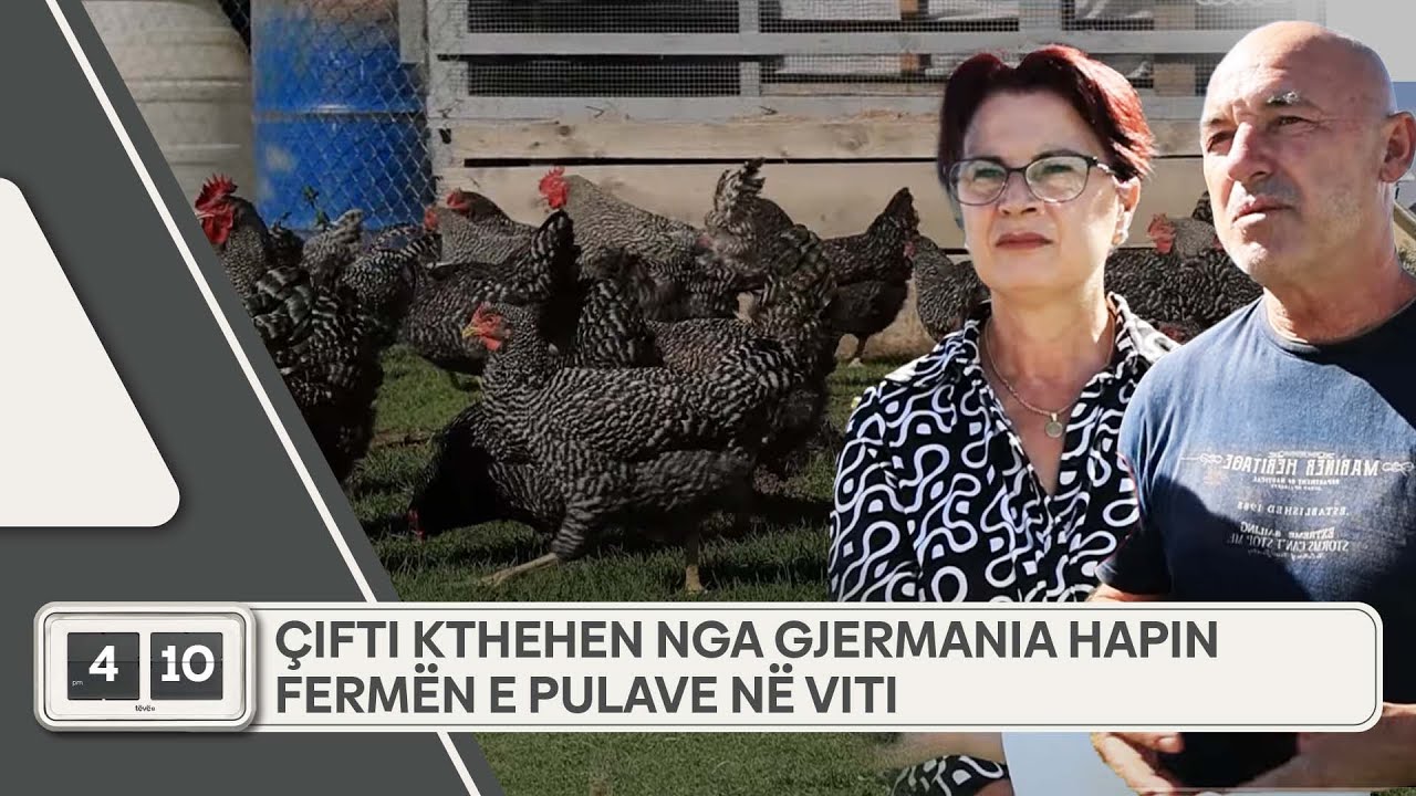 Çifti kthehen nga Gjermania hapin fermën e pulave në Viti