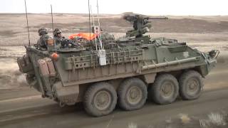 Stryker Armored Cars in Action at Yakima Training Center