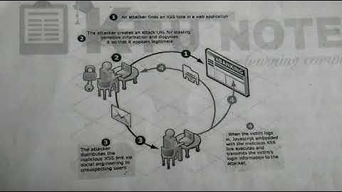 Cross site Scripting (XSS) Vulnerabilities