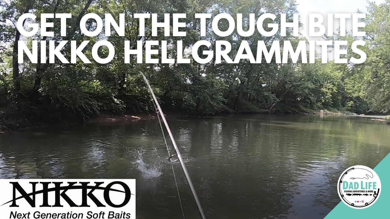 How to Use a Nikko Hellgrammite 