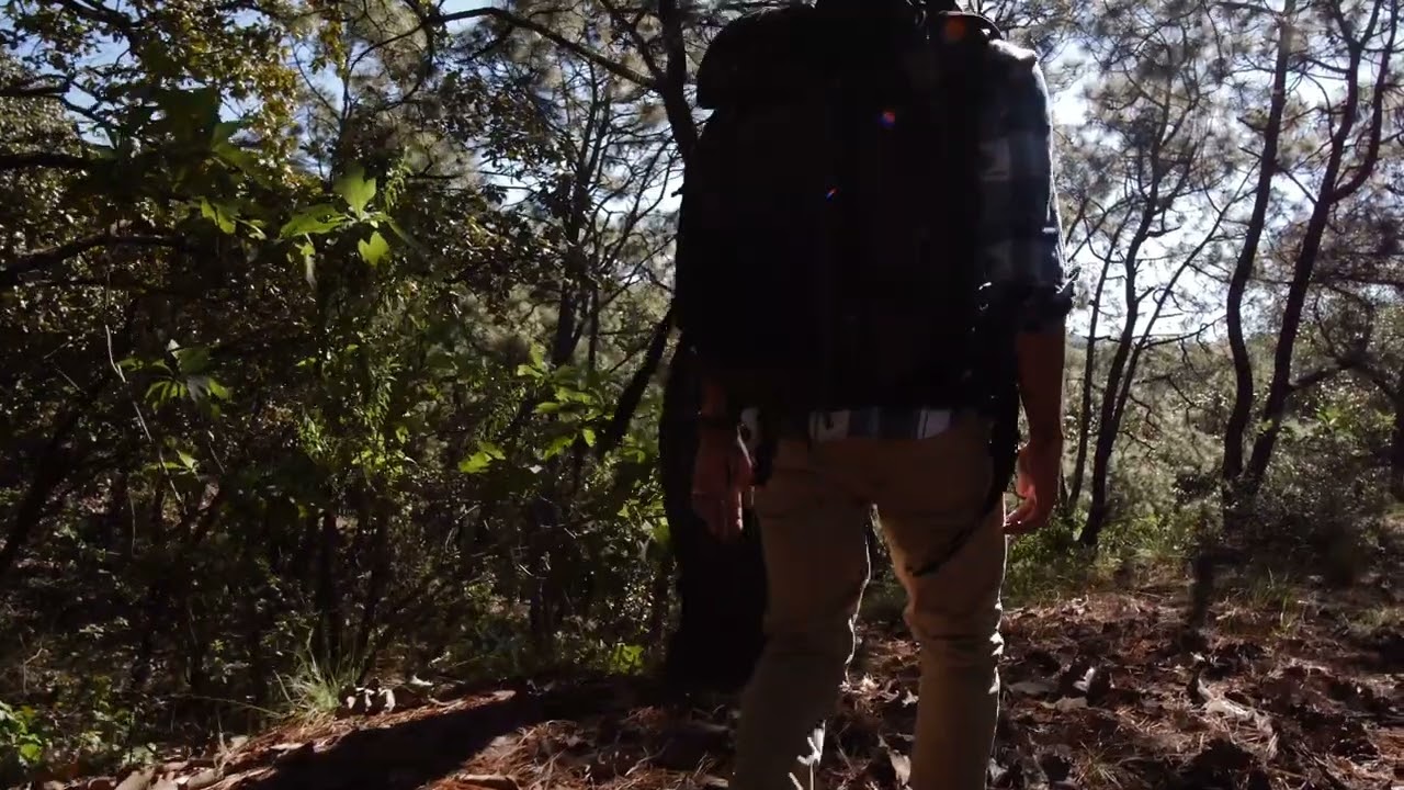 Mind Relaxing Nature 4k Videos Stress Relief Music And Nature