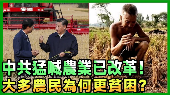 思打费 148 中国“三农”问题知多少 - 天天要闻