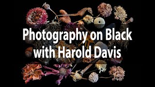 Photography on Black | Webinar with Harold Davis | September 12, 2020
