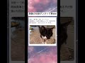 中におっさん入ってる？w #おもしろ #shortsのサムネイル