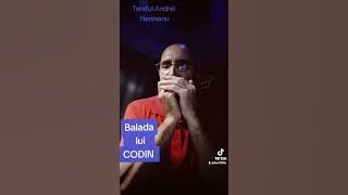 BALADA LUI CODIN MUZICUȚĂ HOHNER MUZICĂ  DE ASCULTARE ȘI VOIE BUNĂ - COVER TARAFUL ANDREI HERESANU