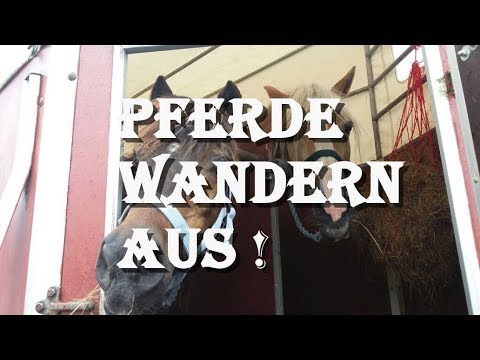 Leben Und Arbeiten In Schweden Youtube