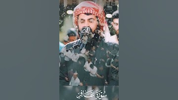 رعد الكردي سورة غافر
