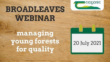 Broadleaves Webinar 2021: managing young broadleaf forests for quality