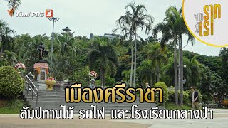 เมืองศรีราชา สัมปทานไม้ รถไฟ และโรงเรียนกลางป่า | จากรากสู่เรา