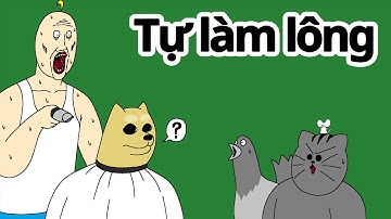 [Mấy đứa bạn cầm thú] Tự làm lông  | hoạt hình bựa hàn quốc jjaltoon | Việtnam