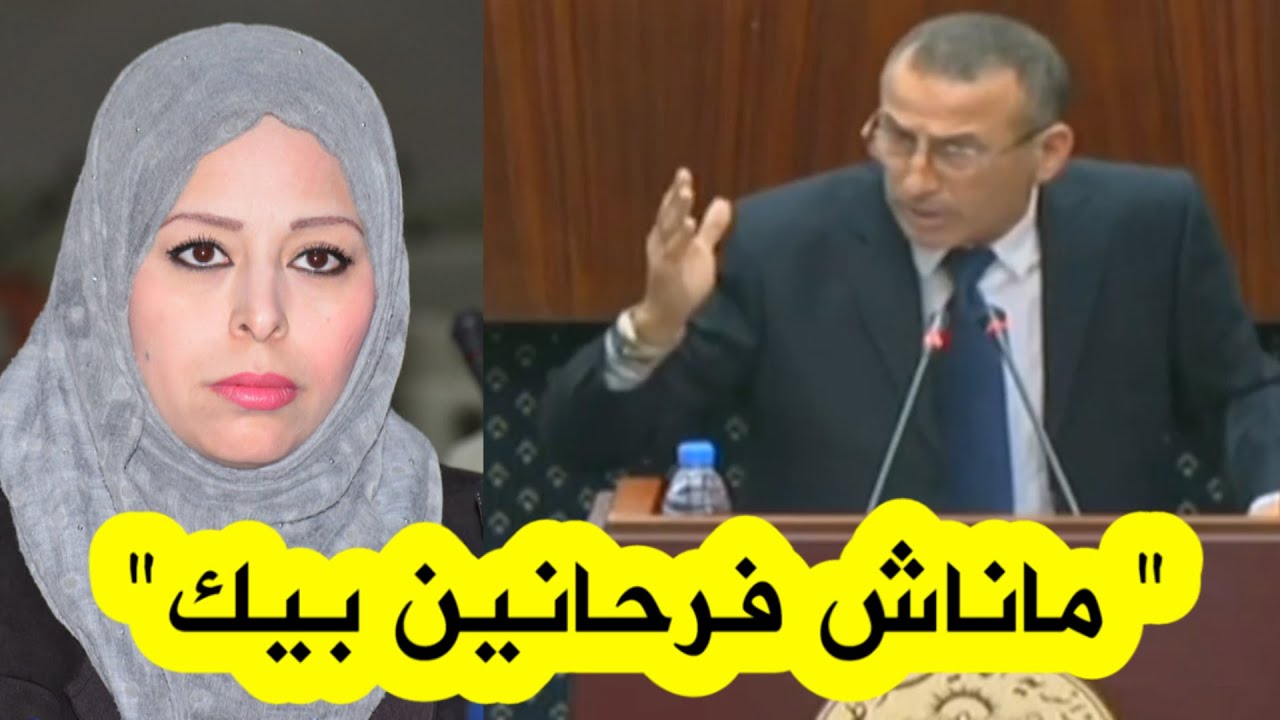 برلماني يخاطب الوزيرة بسمة عزوار: 