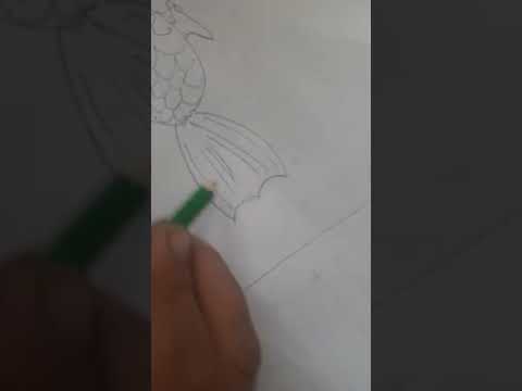 تعليم الرسم للمبتدئين مع شعبان حسن الجميع