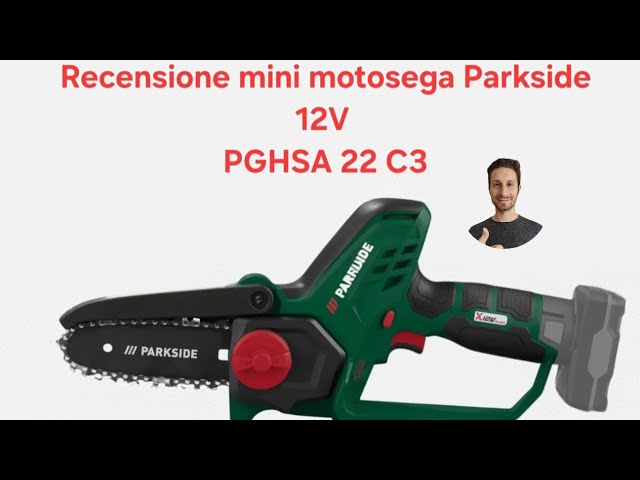 PARKSIDE® TRONÇONNEUSE À Bois Sans Fil »PGHSA 12 A1«, SANS BATTERIE NI