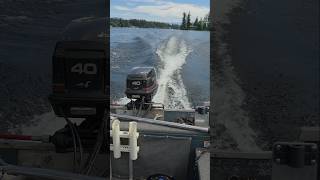 1989 TRACKER PRO 16 DEEP V |40HP JOHNSON 2 STROKE #tracker #fishing #Johnson #2stroke #deepv