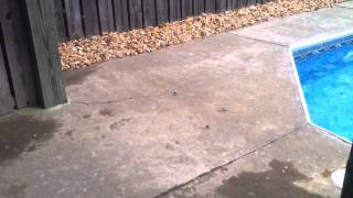 Beach bomb on concrete 2011