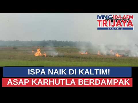 ISPA SURGE IN EAST KALIMANTAN! FOREST FIRE SMOKE BEGINS TO THREATEN RESIDENTS' HEALTH | Trijaya