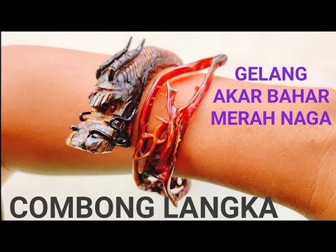 20 Khasiat Gelang Akar Bahar Merah Ampuh Untuk Pengobatan dan Kesehatan. 