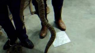DSCF0362.AVI