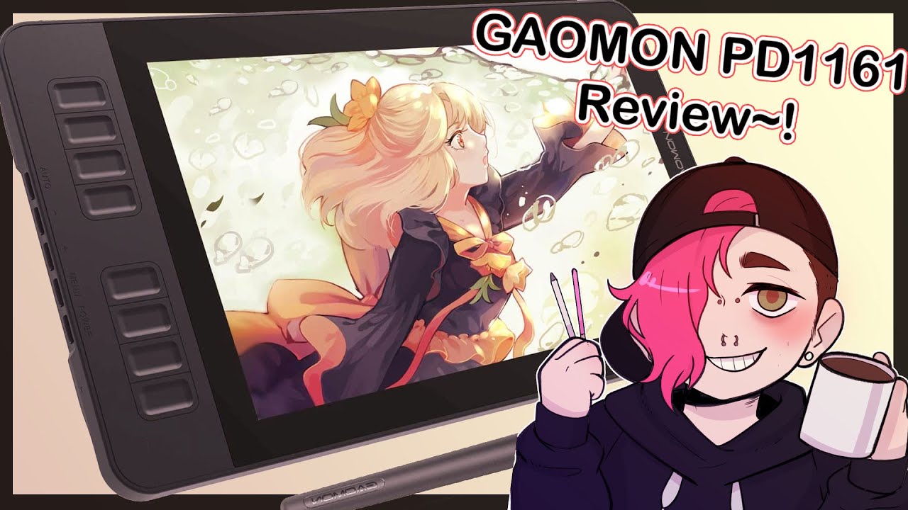Gaomon PD1161 Review