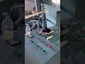 Sunway PE tube flexo printing machine