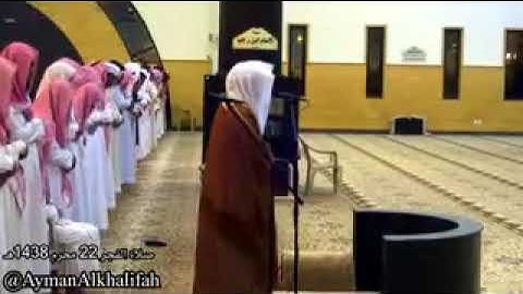 {قالوا ادع لنا ربك يبين لنا ما هي ..} ما تيسر من سوره ( البقره ) الشيخ ياسر الدوسري