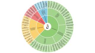 Uae Collective Intelligence, Where Purpose-Driven Talents Corporates Thrive