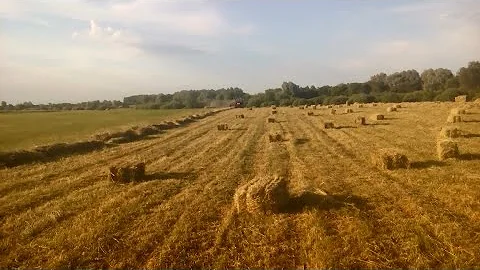 Люцерна. Сколько сена получилось с 1 га.