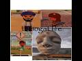 TAMAGOTCHI LIFE LTD TAMAGOTCHI LIFE LTD